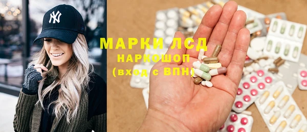 сатива Аркадак