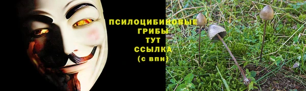 альфа пвп Баксан