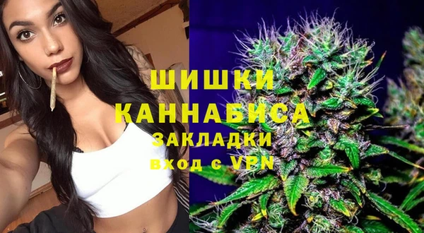 сатива Аркадак