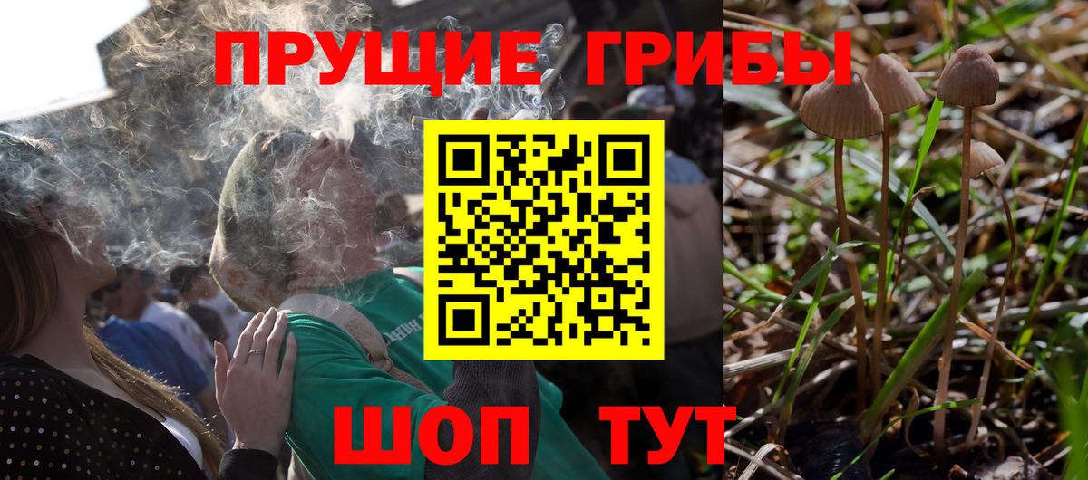 Галлюциногенные грибы GOLDEN TEACHER  Галлюциногенные грибы Magic Shrooms  Вход с VPN  Кубинка 